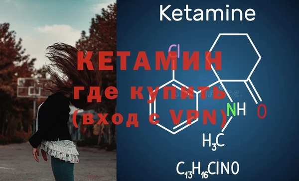 шишки Армянск