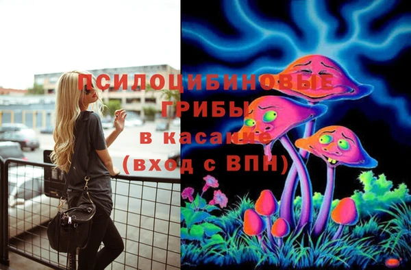 ГАЛЛЮЦИНОГЕННЫЕ ГРИБЫ Аркадак