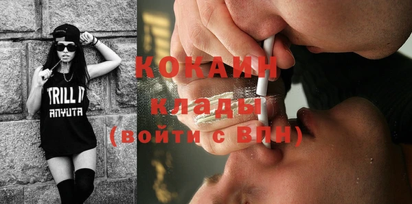 ГАЛЛЮЦИНОГЕННЫЕ ГРИБЫ Аркадак