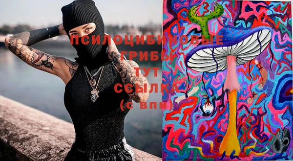 шишки Армянск