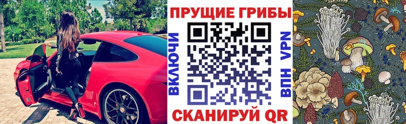 KRAKEN вход  где купить наркоту  Руза  Псилоцибиновые грибы MAGIC MUSHROOMS 